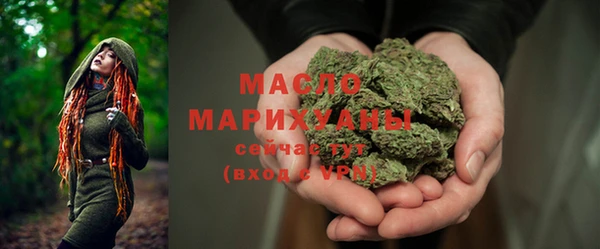 дживик Бронницы