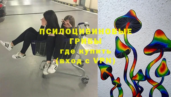 дживик Бронницы