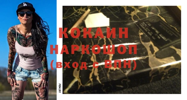 дживик Бронницы