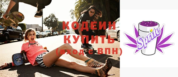 дживик Бронницы