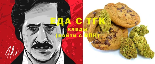дживик Бронницы