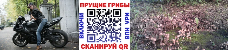 это Telegram  OMG зеркало  Орехово-Зуево  Псилоцибиновые грибы мухоморы 